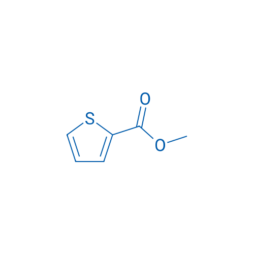 Methyl thiophene-2-carboxylate 100g