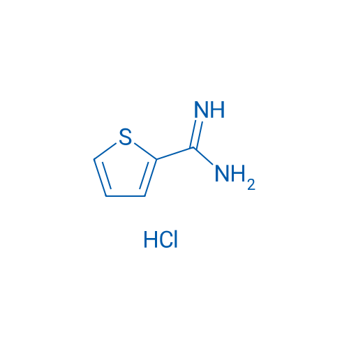 2-Amidinothiophene hydrochloride 5g