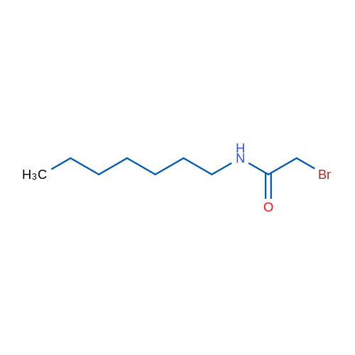 2-Bromo-N-heptylacetamide 1g