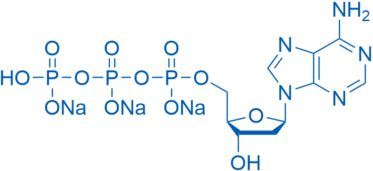 2'-Deoxyadenosine-5'-triphosphate trisodium 5g