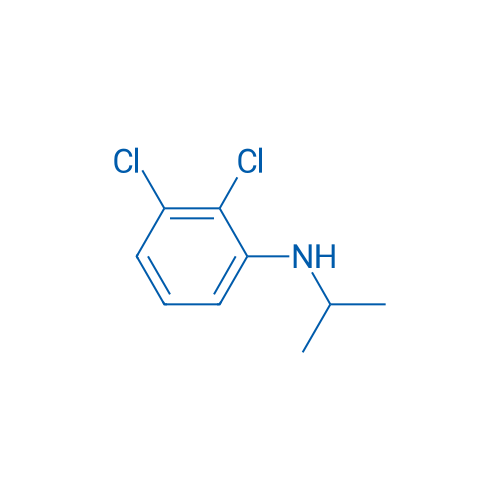 2,3-Dichloro-N-(propan-2-yl)aniline 1g