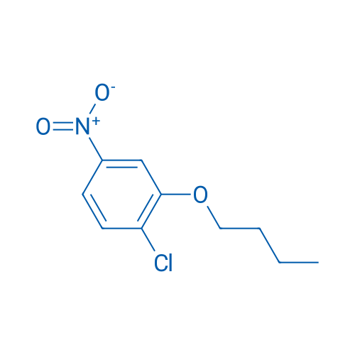 2-BUtoxy-1-chloro-4-nitrobenzene 1g