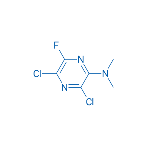 3,5-Dichloro-6-fluoro-N,N-dimethylpyrazin-2-amine 1g