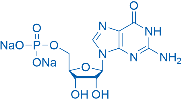 5'-Guanylic acid disodium salt 1000g