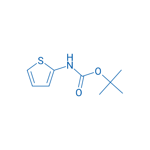 tert-Butyl thiophen-2-ylcarbamate 100g