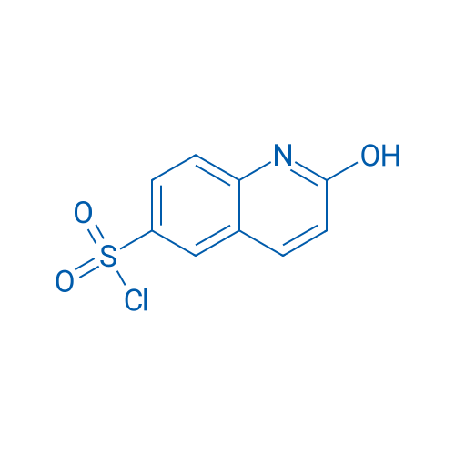 2-Hydroxyquinoline-6-sulfonyl chloride 1g