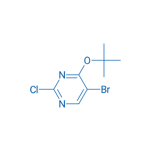 5-Bromo-4-(tert-butoxy)-2-chloropyrimidine 1g
