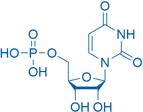 Uridine 5'-monophosphate 25g