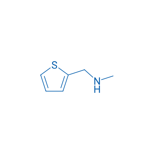 N-Methyl-1-(thiophen-2-yl)methanamine 10g