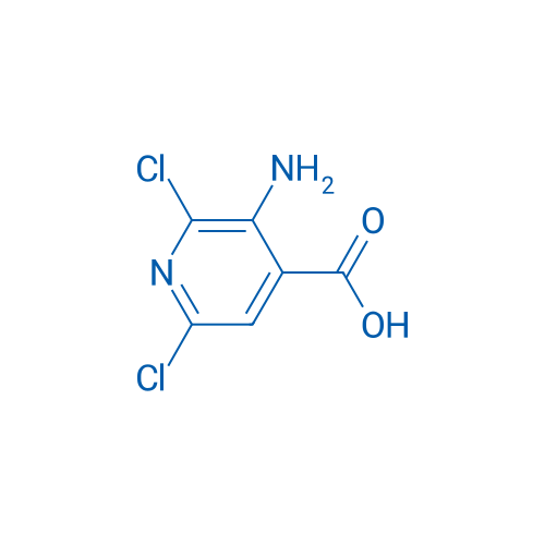 3-Amino-2,6-dichloroisonicotinic acid 250mg