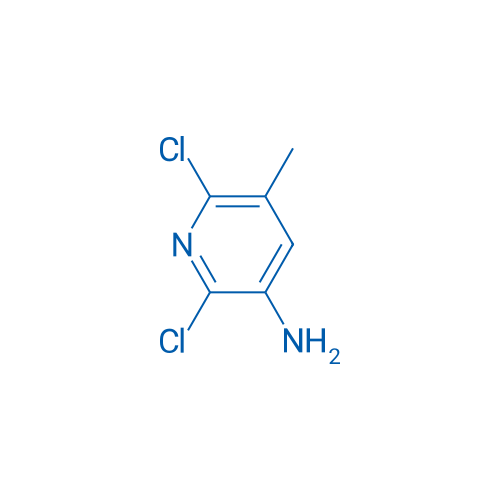 2,6-Dichloro-5-methylpyridin-3-amine 1g