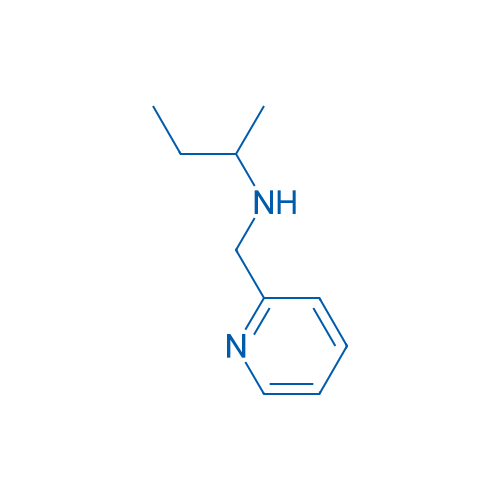 N-(Pyridin-2-ylmethyl)butan-2-amine 10g