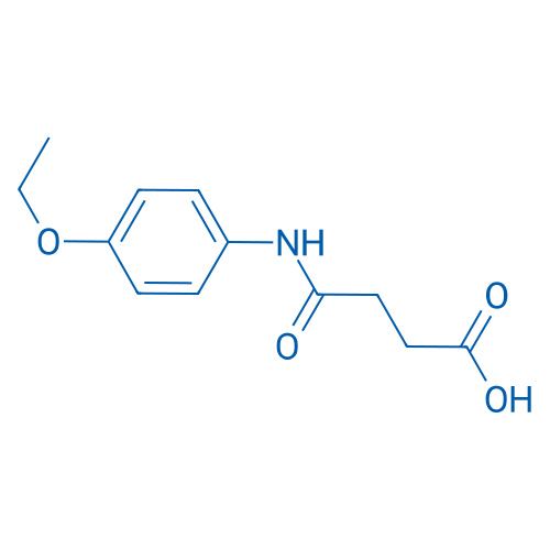 4-((4-Ethoxyphenyl)amino)-4-oxobutanoic acid 1g