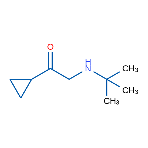 2-(tert-Butylamino)-1-cyclopropylethan-1-one 1g