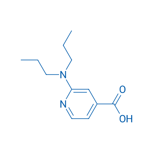 2-(Dipropylamino)isonicotinic acid 5g