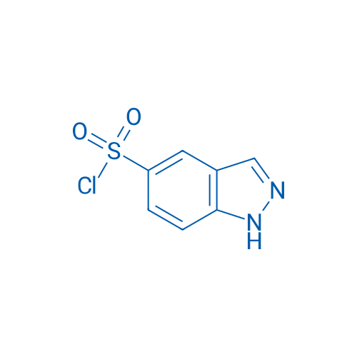 1H-Indazole-5-sulfonyl chloride 250mg