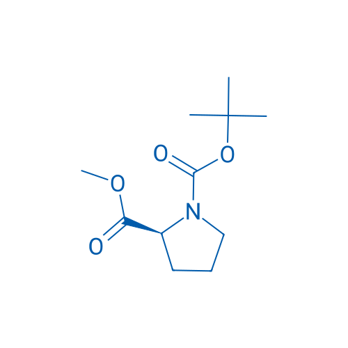 Boc-Pro-OMe 25g