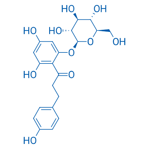 Phlorizin 25g