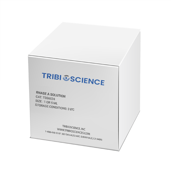 RNase A, 10mg/mL