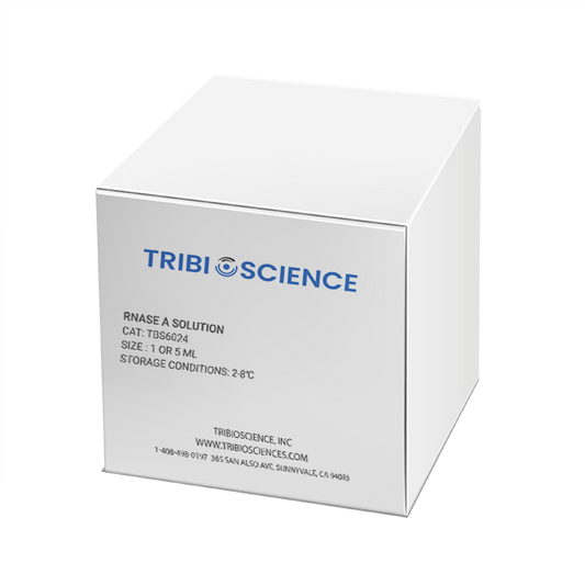 RNase A, 10mg/mL