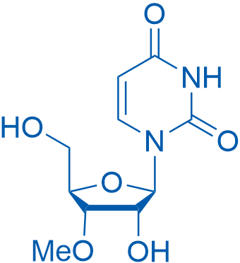 3’-O-Methyluridine 1g