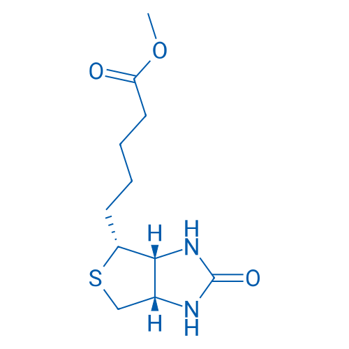 rel-Biotin methyl ester 1g