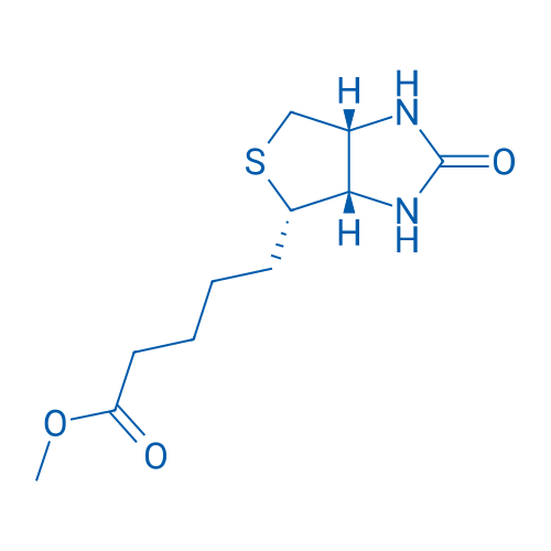 (+)-Biotin methyl ester 5g