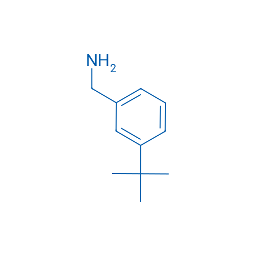 (3-(tert-Butyl)phenyl)methanamine 1g