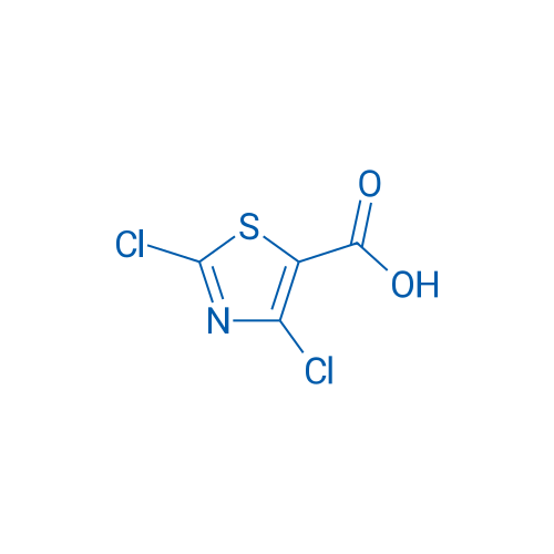 2,4-Dichlorothiazole-5-carboxylic acid 250mg