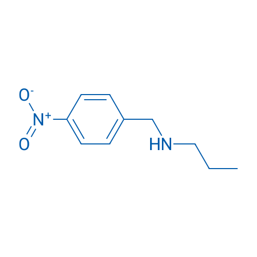 [(4-Nitrophenyl)methyl](propyl)amine 1g