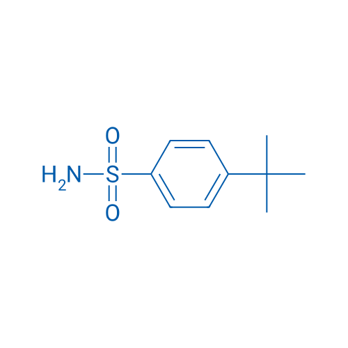4-(tert-Butyl)benzenesulfonamide 500g