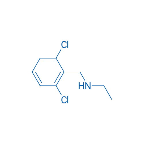 N-(2,6-Dichlorobenzyl)ethanamine 1g