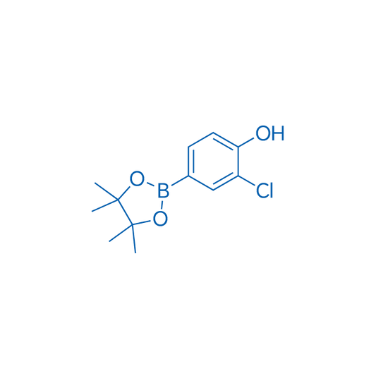 3-Chloro-4-hydroxyphenylboronic acid, pinacol ester 5g