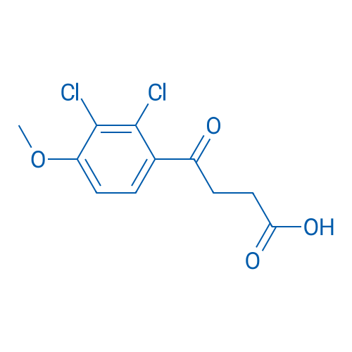 4-(2,3-Dichloro-4-methoxyphenyl)-4-oxobutanoic acid 1g