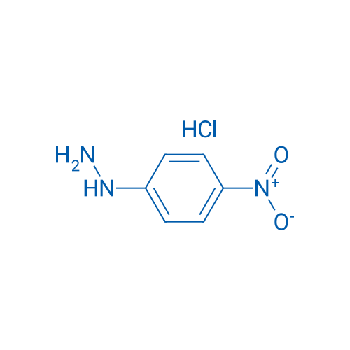 4-Nitrophenylhydrazine HCl 10g
