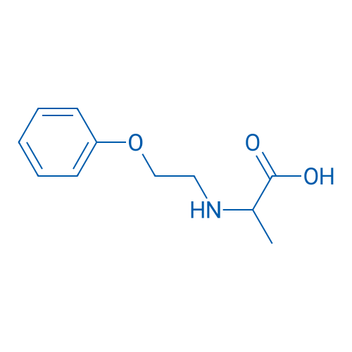 2-[(2-Phenoxyethyl)amino]propanoic acid 1g