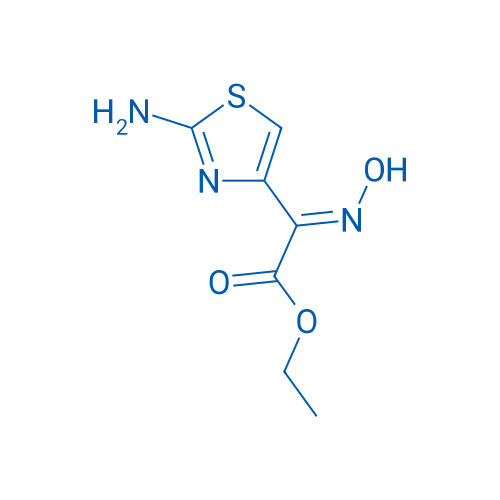 (Z)-Ethyl 2-(2-aminothiazol-4-yl)-2-(hydroxyimino)acetate 10g