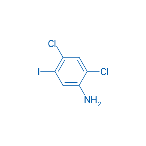 2,4-Dichloro-5-iodoaniline 5g