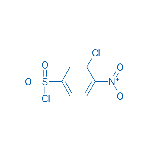 3-Chloro-4-nitrobenzene-1-sulfonyl chloride 1g