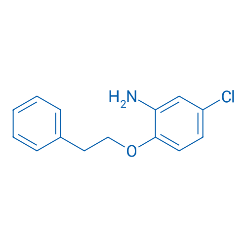 5-Chloro-2-phenethoxyaniline 1g