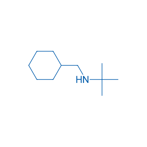 N-(Cyclohexylmethyl)-2-methylpropan-2-amine 250mg