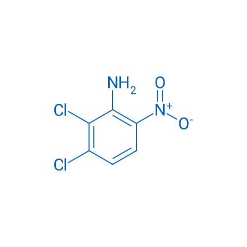 2,3-Dichloro-6-nitroaniline 25g