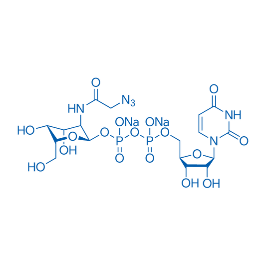 UDP-GalNAz disodium 50mg