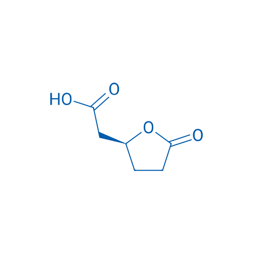 (S)-2-(5-Oxotetrahydrofuran-2-yl)acetic acid 1g