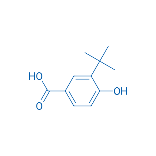 3-(tert-Butyl)-4-hydroxybenzoic acid 1g