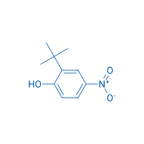 2-(tert-Butyl)-4-nitrophenol 250mg