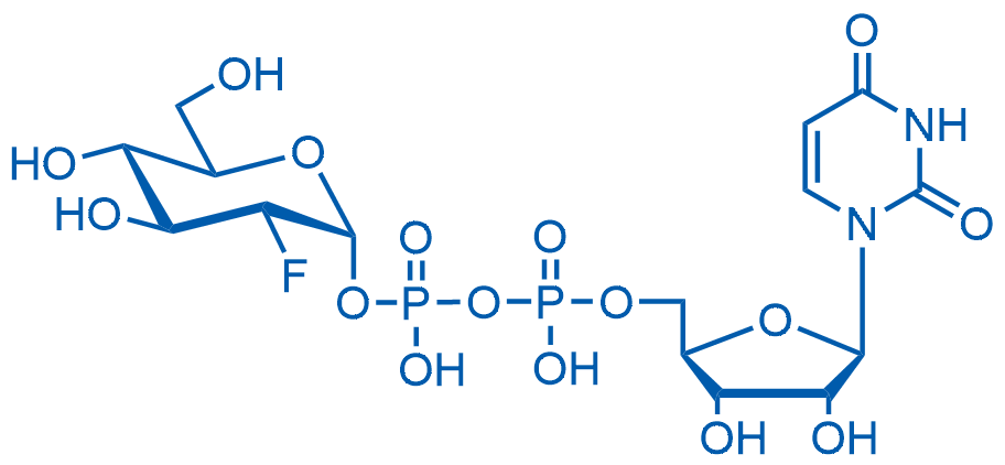 UDP-2-deoxy-2-fluoro-D-glucose sodium salt 25mg