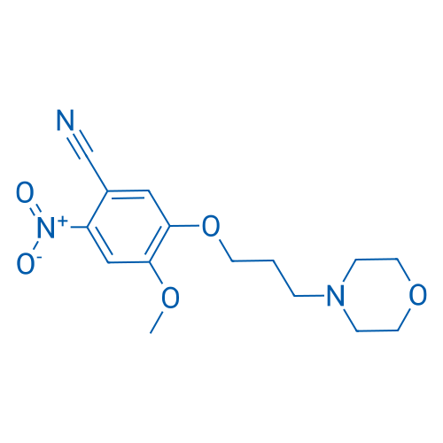 Gefitinib impurity 1 1g