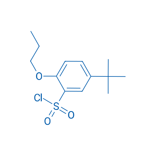 5-(tert-Butyl)-2-propoxybenzene-1-sulfonyl chloride 100mg