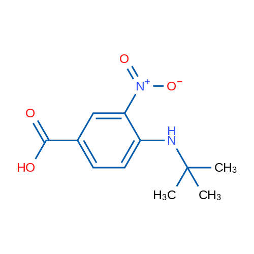 4-(tert-Butylamino)-3-nitrobenzoic acid 1g